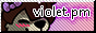 Violet Procyon